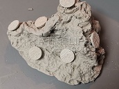 D&ocirc;me en c&eacute;ramique pour frags, 6 trous - A l'unit&eacute; - REEFTECH EPF048