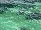 Eau de mer naturelle - 40 litres