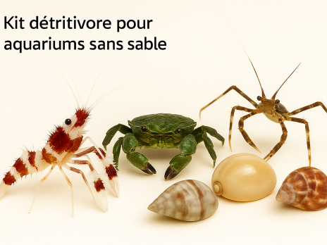 Kit D&eacute;tritivores Roches - SANS sable 07 / 100 - 150 Litres