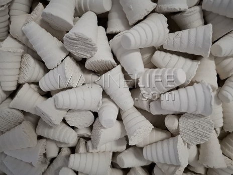 Plugs sp&eacute;cial Zoanthus - diam 18mm - Lot de 100 - EPF018