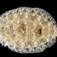 Bothus spp. 8-12 cm