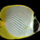 Chaetodon adiergastos 7-10 cm