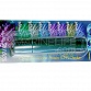 Coral Checker CFP (protéine de fluorescence)- 400nm Eco-lamps®
