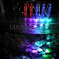 Coral Checker CFP (protéine de fluorescence)- 450nm Eco-lamps®