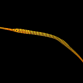 Dunckerocampus pessuliferus 6-10cm