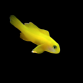 Gobiodon okinawae 2-4 cm