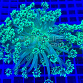 Goniopora stokesi Green fusion 02