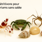 Kit D&eacute;tritivores Roches SANS SABLE 10 / 500 - 1 000 Litres