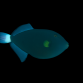 Melichthys vidua 8-12 cm