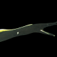 Rhinomuraena quaesita 30-40cm