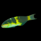 Thalassoma jansenii 8-12 cm